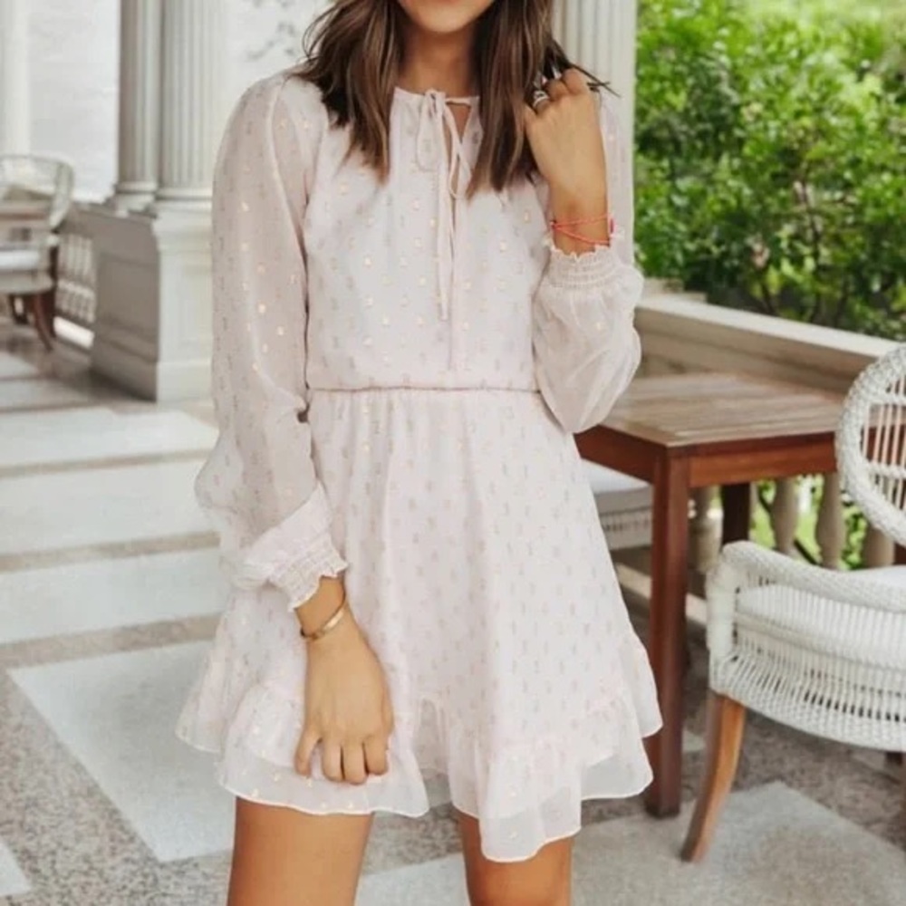 WAYF | Dede x Emily Pink & Gold Chiffon Dress | S 🌸